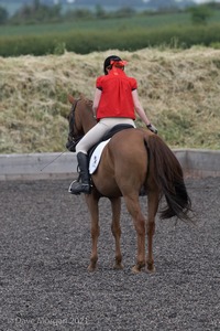 ISIS Dressage Challenge 2008